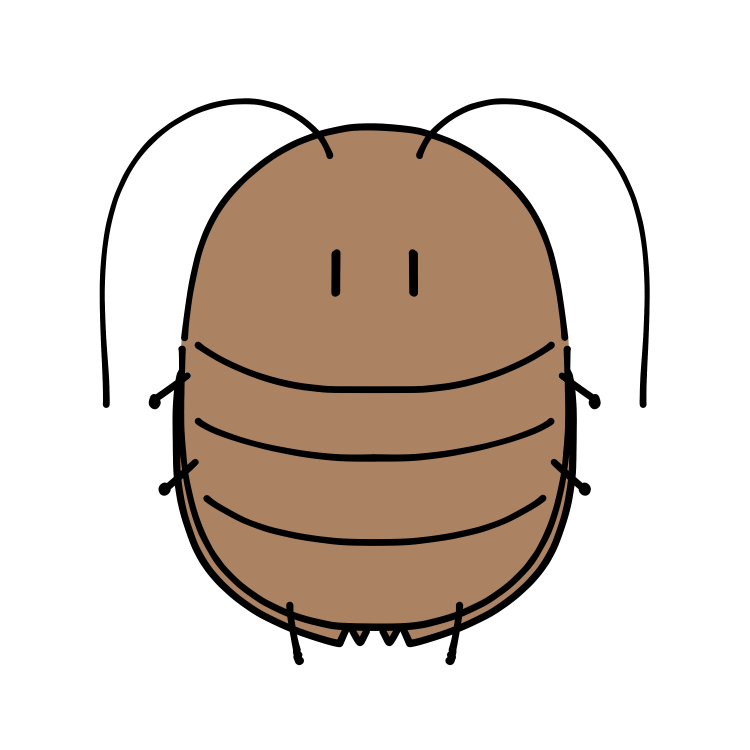 ゆるふわゴキブリ3