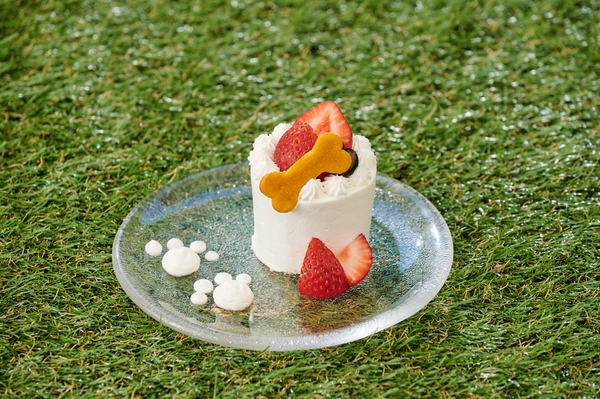 わんちゃん用ケーキ