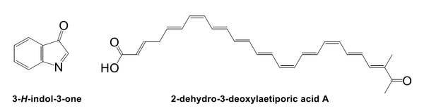 図1　これまで発色団と考えられてきた3-H-indol-3-one（左）と、今回新たに発色団であることが明らかになった2-dehydro-3-deoxylaetiporic acid A（右）