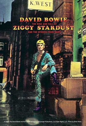 120-017：ZIGGY STARDUST（ジギー・スターダスト）