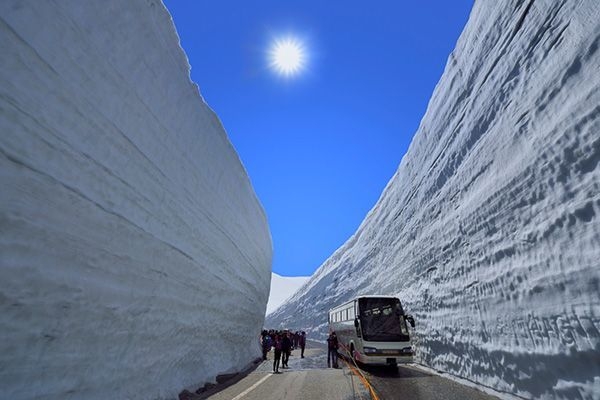 立山黒部アルペンルート・雪の大谷