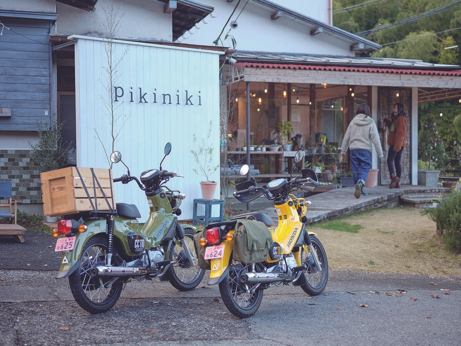 バイタビ ピキニキ