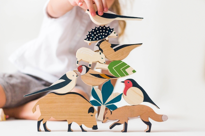 森の中の生態系を学べるセット