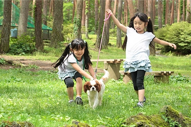 新緑が美しい園内を愛犬とお散歩！ お散歩途中にお宝が見つかるかも！？ 愛犬家にうれしいイベント「すばるまつり」開催！【富士すばるランド】