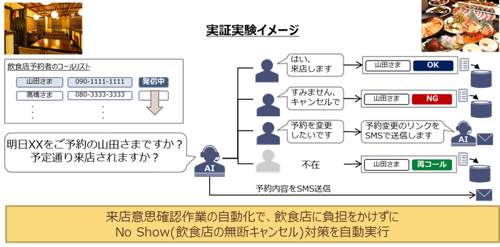 実証実験イメージ