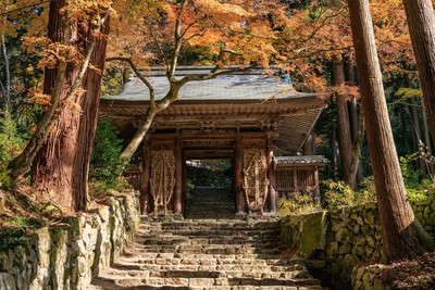 百済寺・仁王門