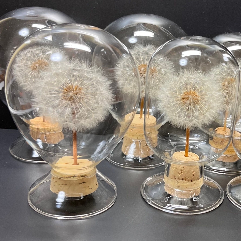 今回出店予定作品・Dandelion popo