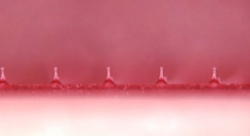 ピンクのマイクロニードル2