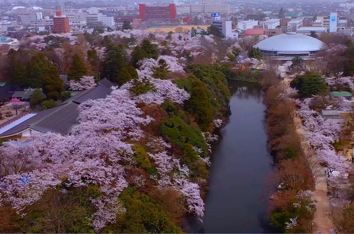 高岡市の中心部にある公園