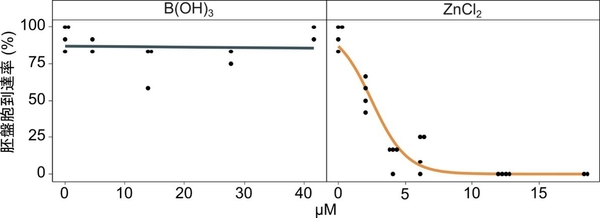 図2　マウス胚に対する亜鉛の影響