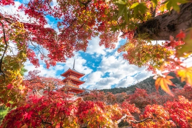 SBIいきいき少短×東京カメラ部 共同開催 Instagramフォトコンテスト「HAPPYな瞬間～カレンダーにしたい日本の四季～」入賞作品を決定！