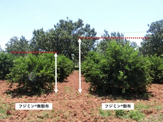 植物活性剤「フジミン(R)」で農業の困ったを解決！ ～ 果樹への活用事例を公開 ～