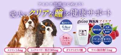 愛犬の瞳のトラブル予防に！犬用アイケアサプリメント 『gelee WAN アイケア』を3月16日より販売開始