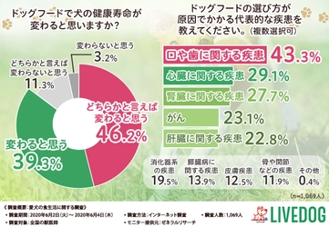 【ドッグフードの選び方を間違えると〇〇の疾患に！？】 獣医師が考えるドッグフード選びのポイントを徹底調査！