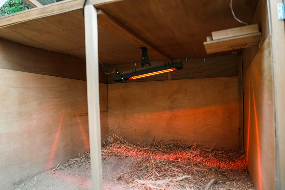 冬場の小屋内部※左上にヒーター設置