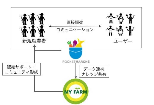 業務提携の内容