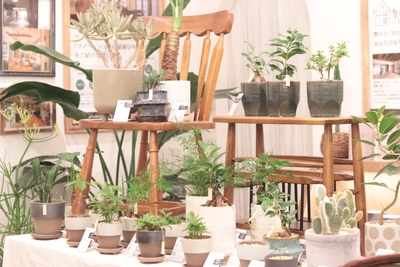 過去GREEN-FLAT(2)