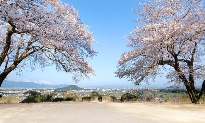 甘樫丘