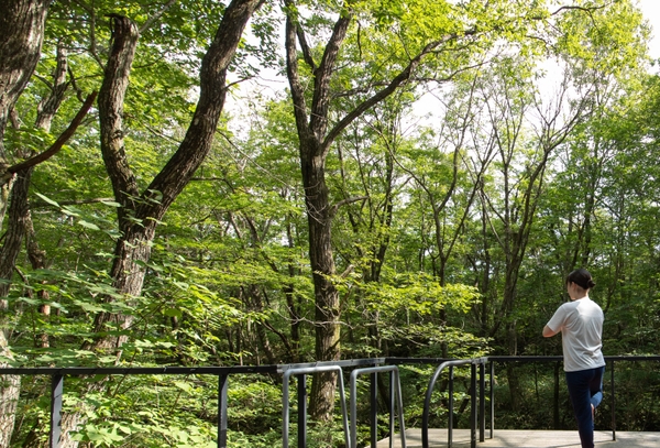 【森の朝ヨガ】慌ただしく過ごす現代人にはぴったりのリラックス法です