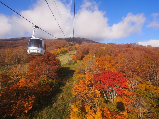 秋には紅葉の絶景がお楽しみいただけます。