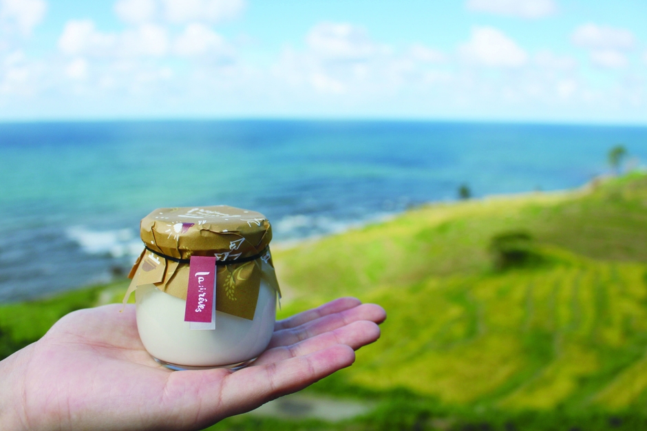 輪島プリン千枚田のお米 9