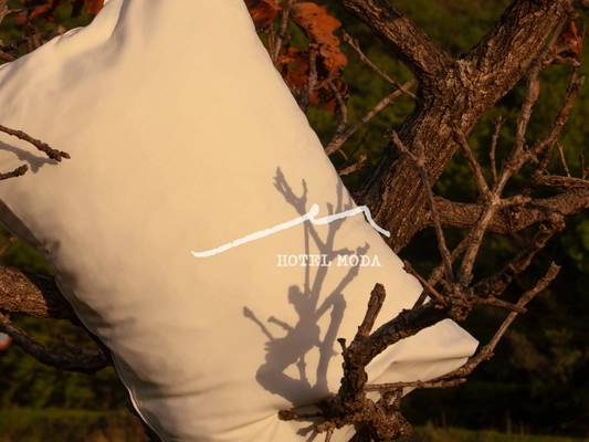 FDM株式会社が手がけた「HOTEL MODA(ホテル モダ)」 大分県由布市に2025年秋誕生