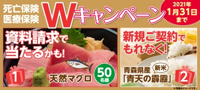 死亡保険・医療保険の資料請求で「天然マグロ」が抽選で当たる！