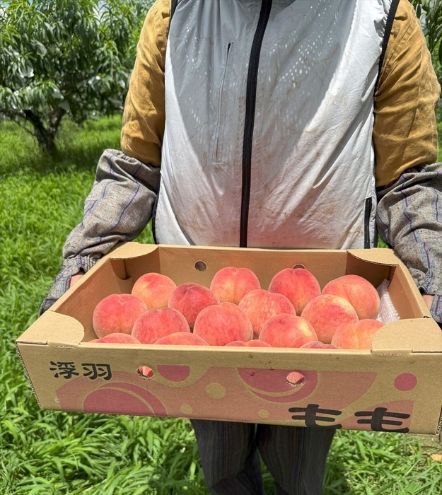 「明果園」の桃 