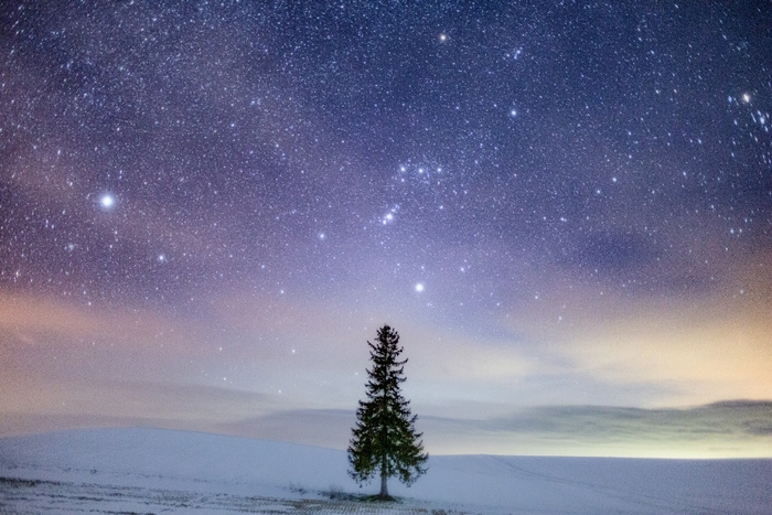 昨年度グランプリ作品【宇宙(そら)/たか】