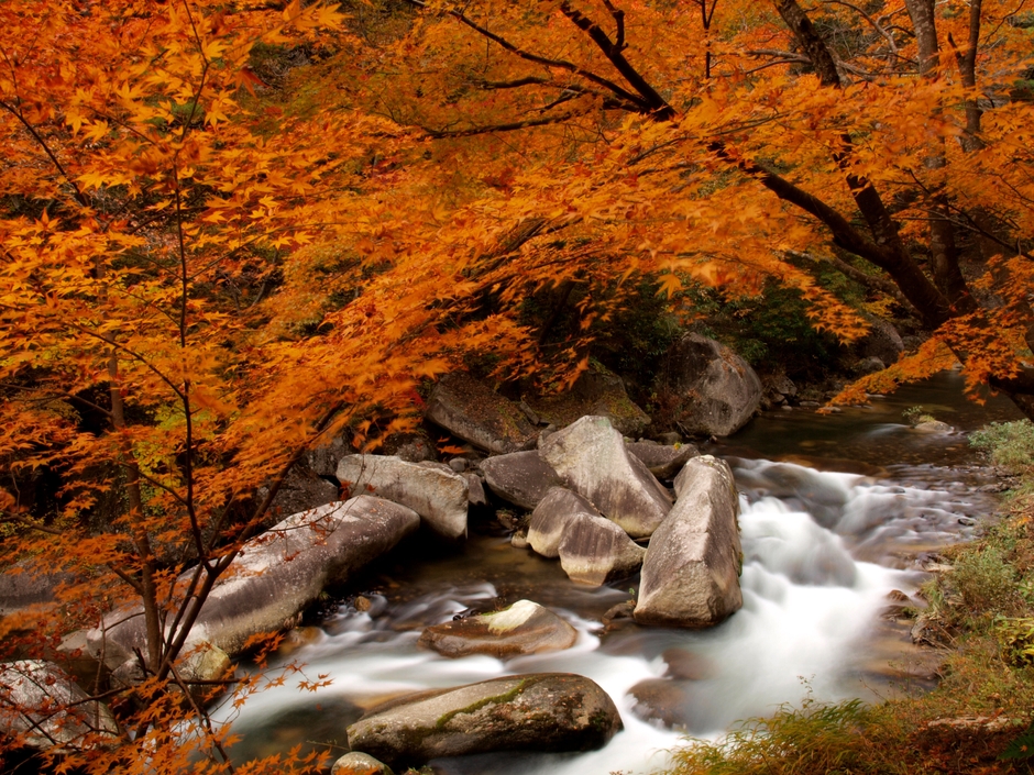 秋の昇仙峡「遊歩道」紅葉スポット(1)