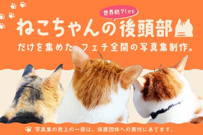 企画紹介画像1