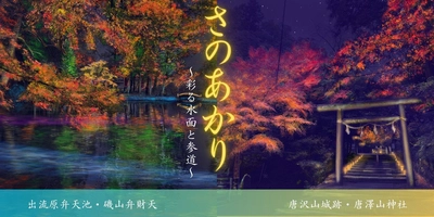 【栃木県佐野市】初開催‼佐野市の観光名所をライトアップ