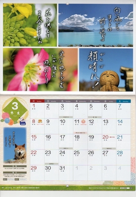 顔晴れ(ガンバレ)3月の花言葉