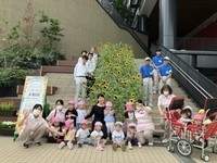 今年も大階段のひまわりと思い出の一枚！