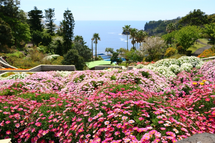 四季折々の花が咲くガーデン　春