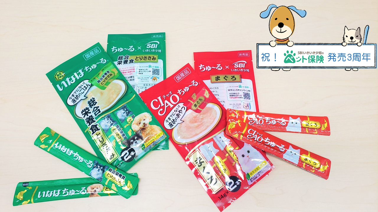 「SBIいきいき少短のペット保険」発売3周年記念！ 犬用・猫用 ちゅ～る® を抽選でプレゼント