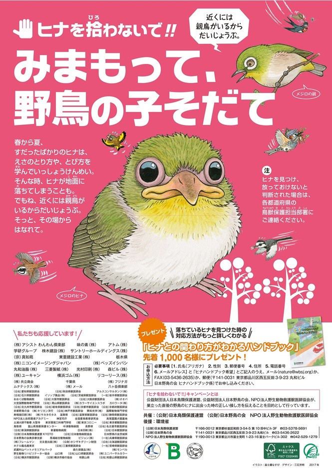 見守って！野鳥の子育て 日本野鳥の会、ヒナとの関わり方が
