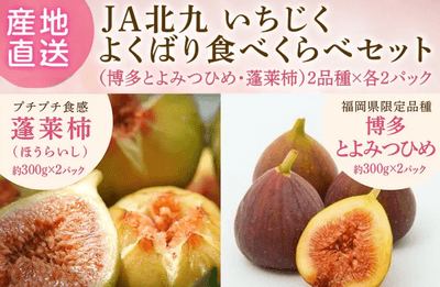 いちじくよくばり食べくらべセット(博多とよみつひめ・蓬莱柿)