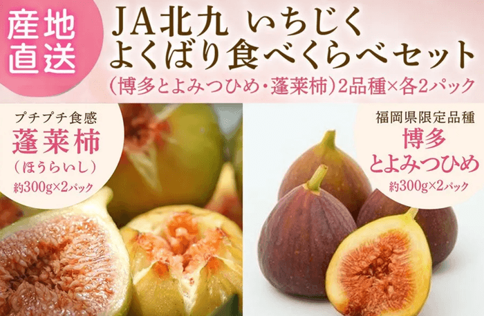 いちじくよくばり食べくらべセット(博多とよみつひめ・蓬莱柿)