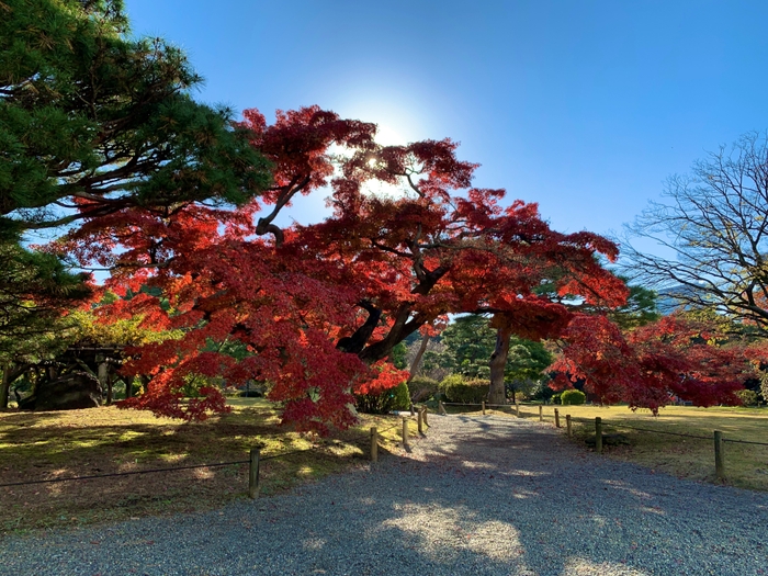 浜離宮恩賜庭園