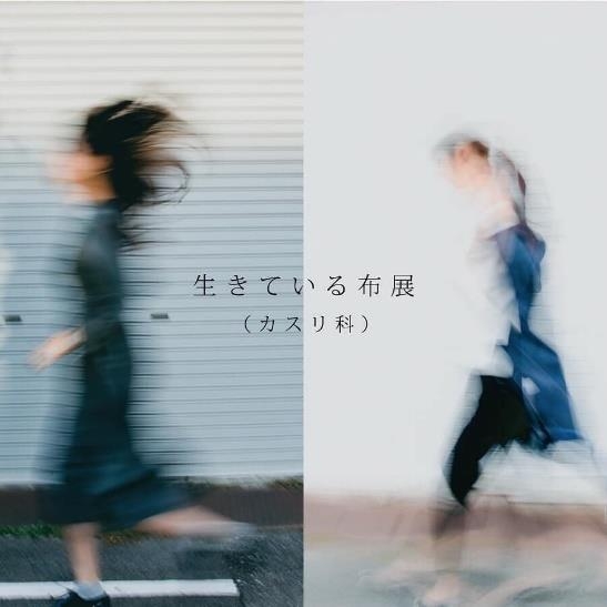 生きている布展~カスリ科~