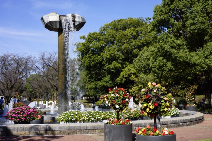 モニュメント噴水とサンパチェンスの水中花壇（日中）