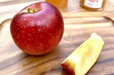 「加積りんご」は糖度が高く、香り、食感もよいりんごです(冨居幹生りんご園にて撮影)