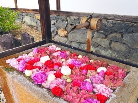 心癒す色鮮やかな「花手水」がお出迎え(イメージ)
