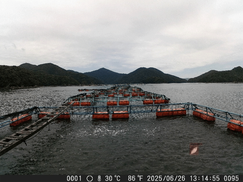 <「LA-Eye」で検知した魚のへい死>