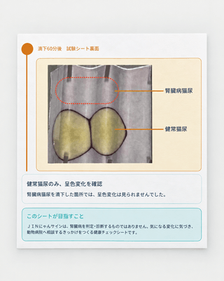 開発・検証中の猫用健康チェックシート「JINにゃんサイン」の試験シート(一例)