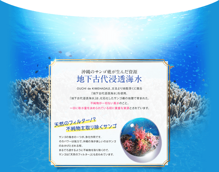 地下古代浸透海水