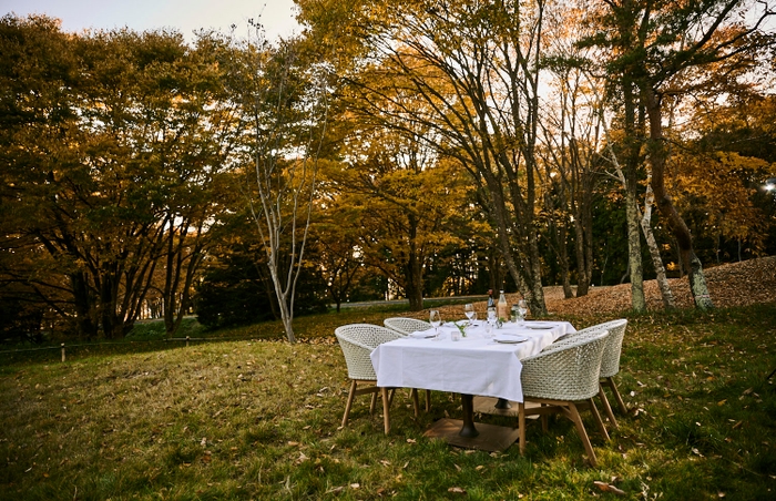 屋外で心地よく過ごせる季節には、森の中のテーブルで本格的なフランス料理も