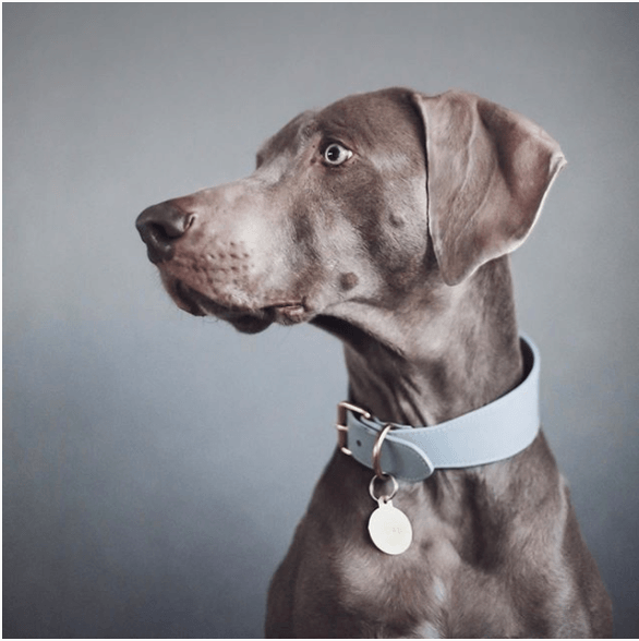 コンセプト内写真5