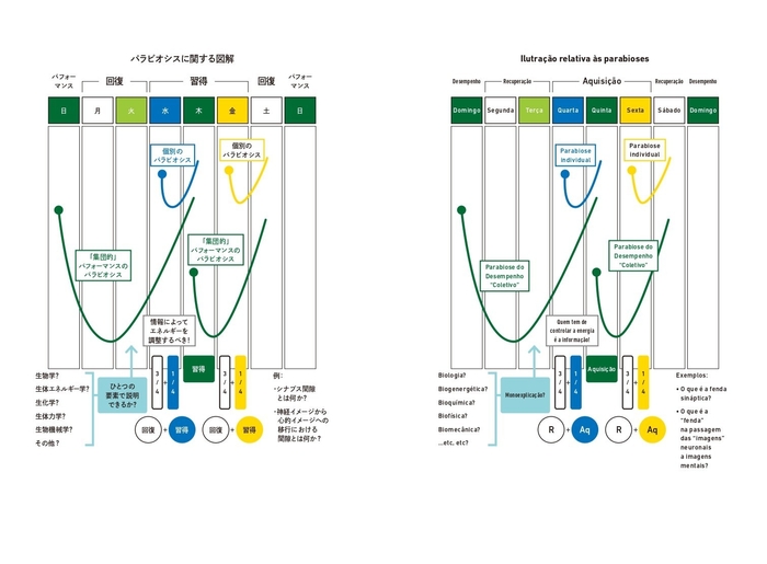 パラビオシスに関する図解